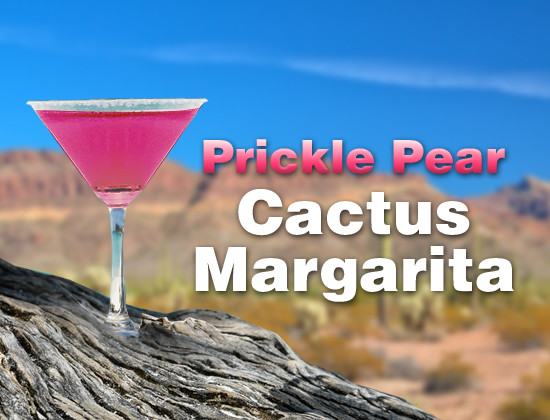 0000549_featured-prickle-pear-cactus-margarita-1-case